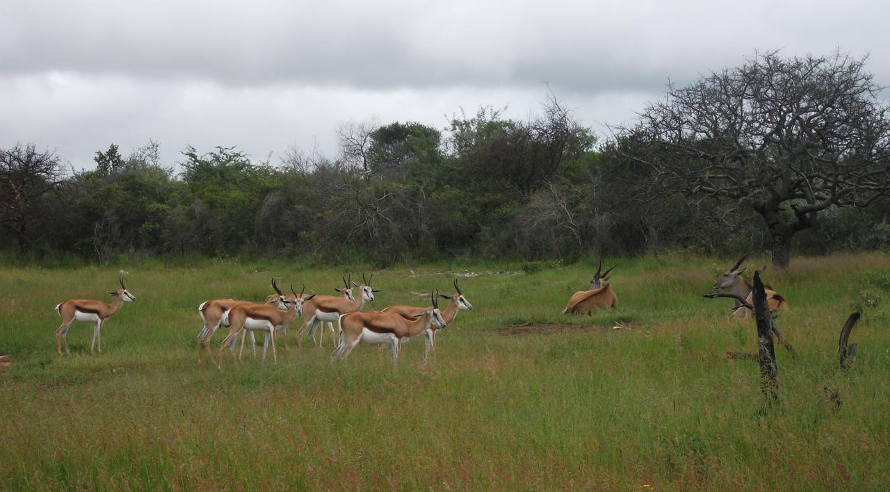 Pondoki Rest Camp Grootfontein Exterior foto